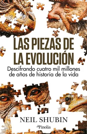 LAS PIEZAS DE LA EVOLUCION