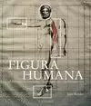 FIGURA HUMANA